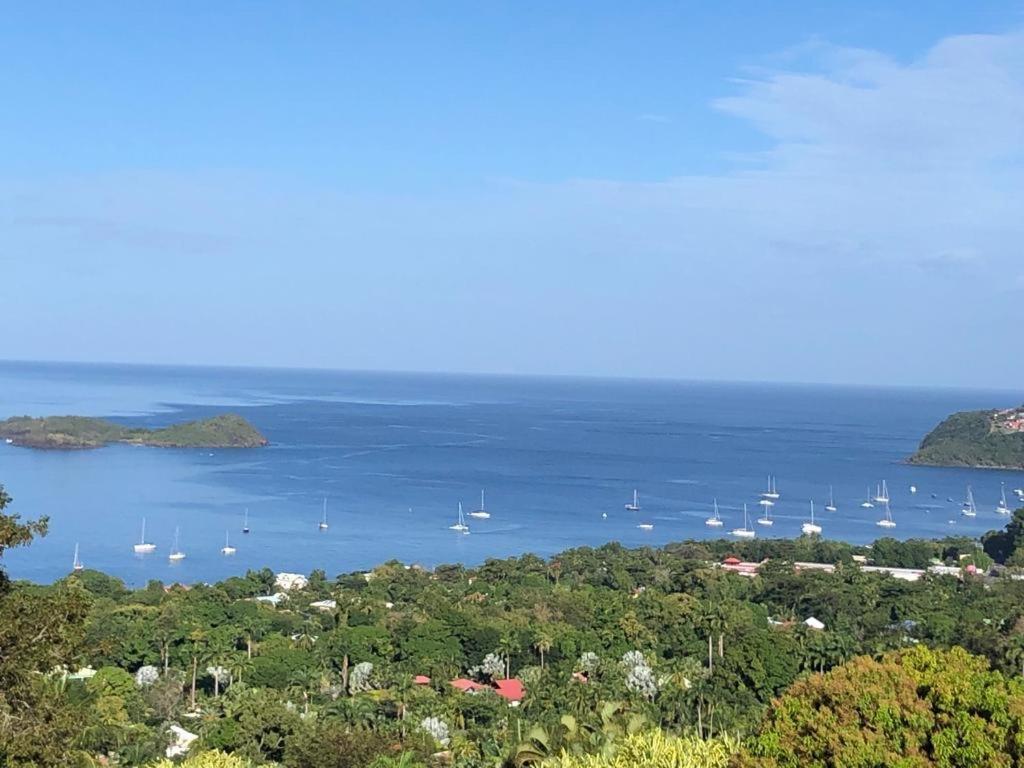 Vila Calypso Bay Bouillante Exteriér fotografie