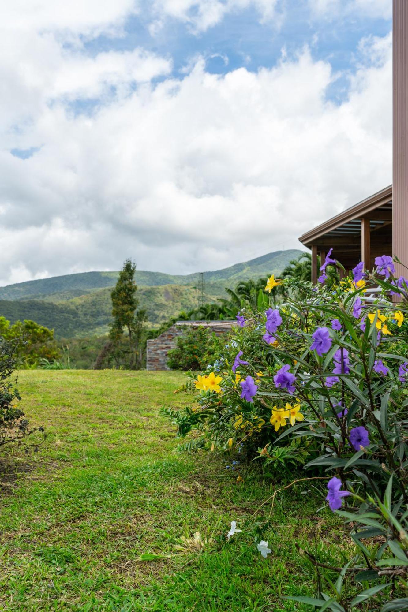 Vila Calypso Bay Bouillante Exteriér fotografie