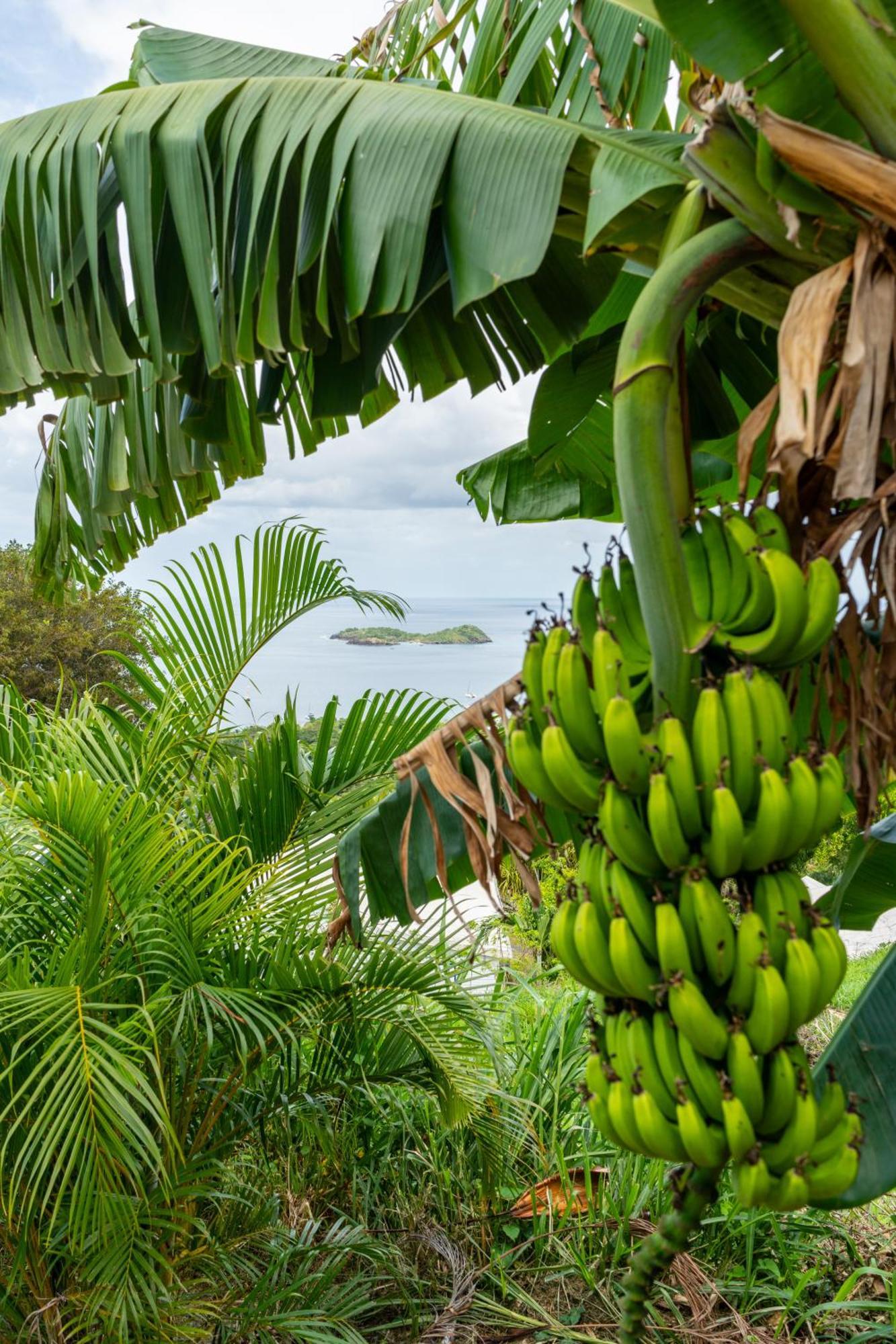 Vila Calypso Bay Bouillante Exteriér fotografie
